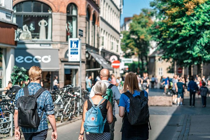 Copenhagen City Private Walking Tour - Price and value: is $267.07 per person worth it?
