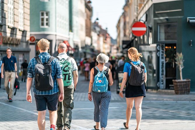 Copenhagen City Private Walking Tour - Walking comfort, timing, and weather reality (2 hours is quick)