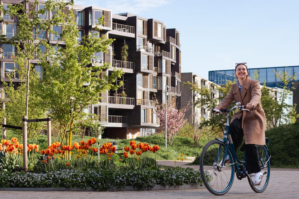 Copenhagen: Guided Architecture and Sustainability Tour - Blox and Lille Langebro: modern architecture you can read in minutes