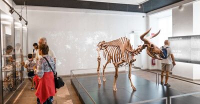 Copenhagen: National Museum of Denmark Entry Ticket - Ticket value and how long you actually need