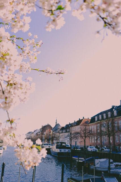 Copenhagen Private 3h biking tour - The landmark trio: Little Mermaid, Amalienborg Palace, and the Round Tower