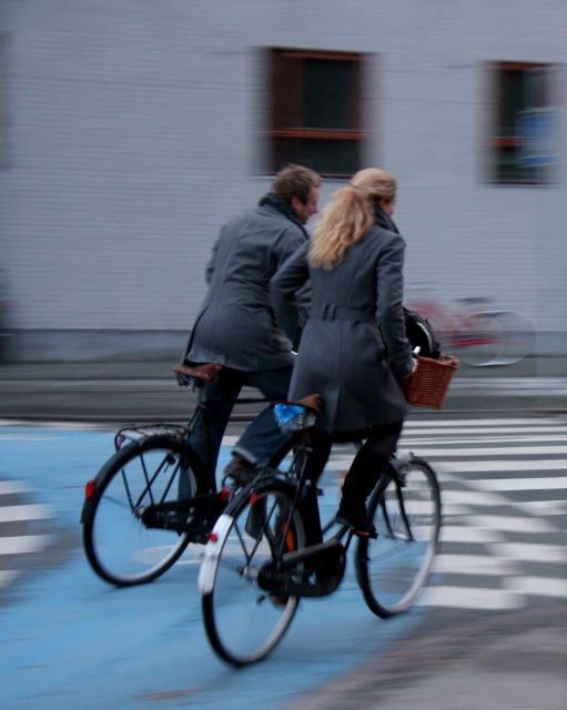 Copenhagen Private 3h biking tour - How the guide actually improves the experience (Diane, Sine, and the small-group advantage)