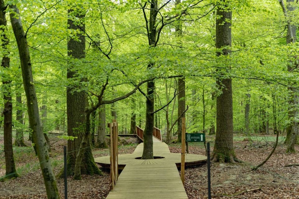 Copenhagen: The Forest Tower & Forgotten Giants Trolls Trip - FAQ