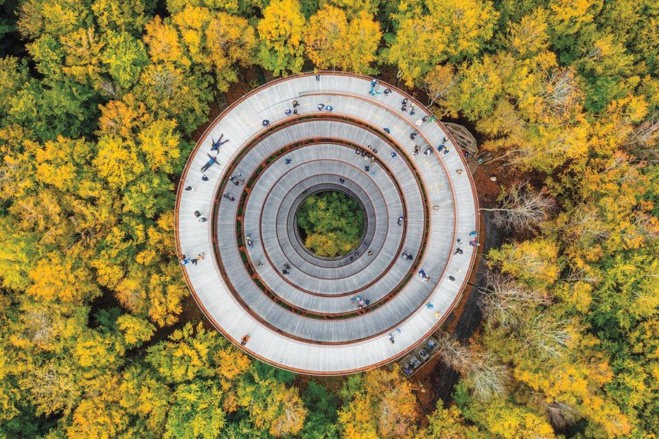 Copenhagen: The Forest Tower & Forgotten Giants Trolls Trip - How to Make the Most of Your 5 Hours (Without Rushing)