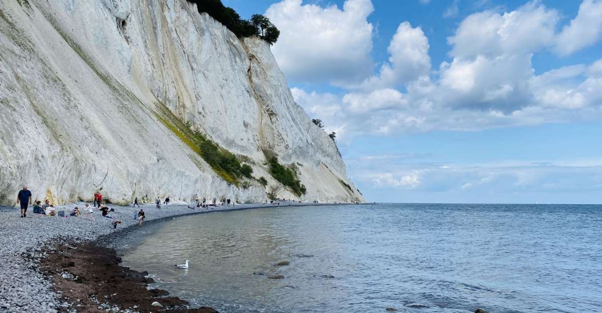 From Copenhagen: Round-Trip to Møns Klint and Forest Tower - When This Tour Makes Sense (and When It Doesn’t)