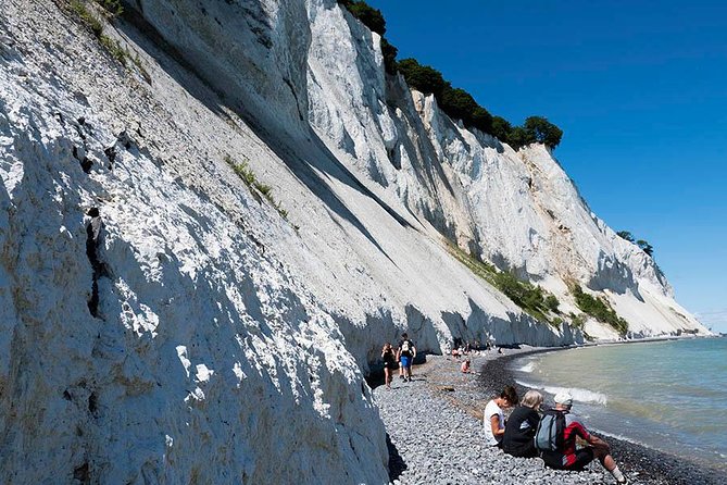 Møns klint and The Forest tower - A day tour from Copenhagen - Price and logistics: what you’re paying for, and what costs extra