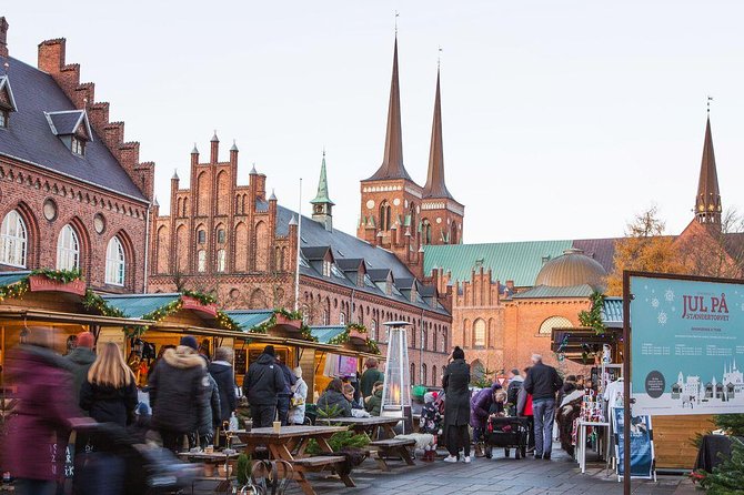 Private Tour to Vikings City Roskilde from Copenhagen - Key things that make this tour worth your attention
